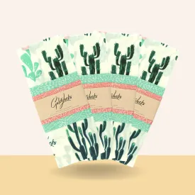 CLEARANCE BUNDLE: Cacti Set of 3